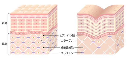 たるみ対策で若々しい印象を手に入れる!港区麻布十番のエステサロン「K@O」で実現 |K@O