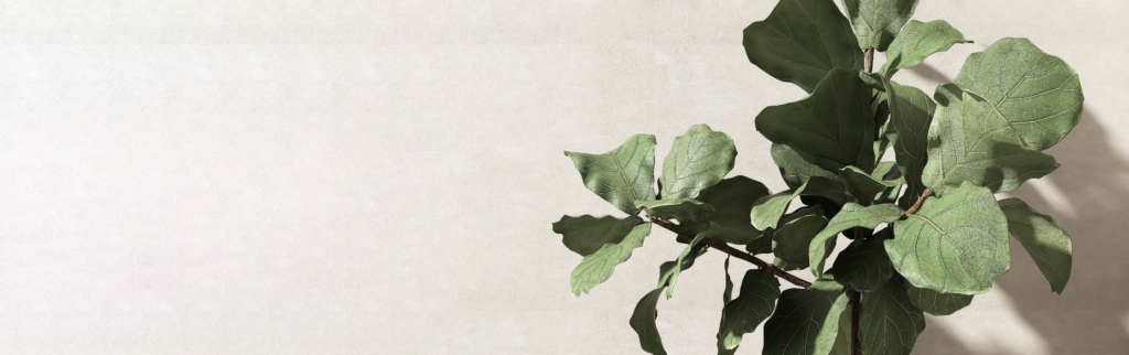 K@O|港区麻布十番で実現するたるみ改善と頭皮ケアの専門アプローチ